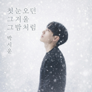 Like that winter night when the first snow fell