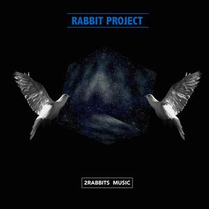 Rabbit Project