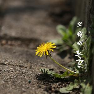 The wild flowers of May