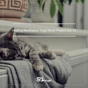 Healing Meditation Yoga Music Project Vol.13