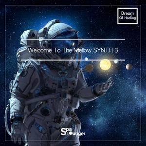 Welcome To The Mellow SYNTH 3 Dream Of HEALING
