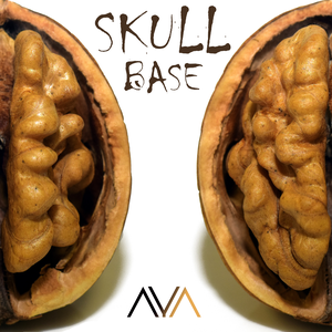 skull base