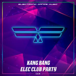 Elec Club Party