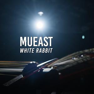 White Rabbit