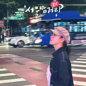 Night streets of Seoul